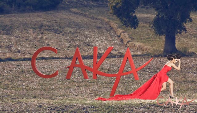 Koleksiyon Çalışması 33